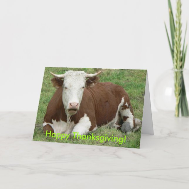 Cartes Pour Fêtes Annuelles Donnez-leur l'Oiseau pour Thanksgiving ! (Devant)