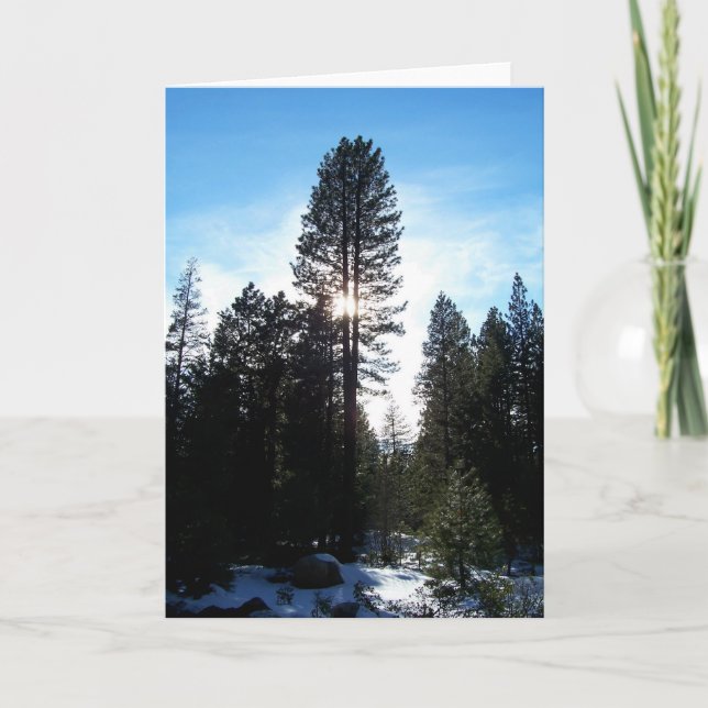 Cartes Pour Fêtes Annuelles Douglas Fir (Devant)