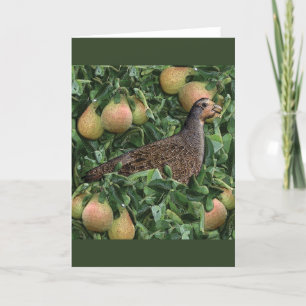 Cartes Pour Fêtes Annuelles Douze jours de Noël - Partridge dans un arbre à po