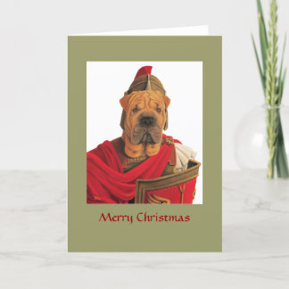 Cartes Pour Fêtes Annuelles DR068 Shar Pei, Joyeux Noël