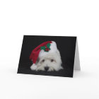 Dreamer la pesky westie Christmas Card