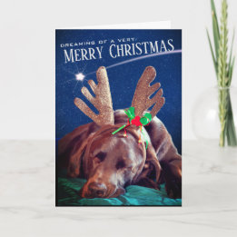 Cartes Pour Fêtes Annuelles Dreaming Chocolate Lab Avec Antlers Photo