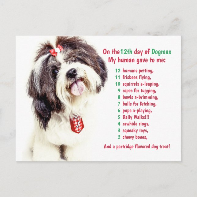 Cartes Pour Fêtes Annuelles Drôle 12 Jours de Noël Dogmas (Devant)