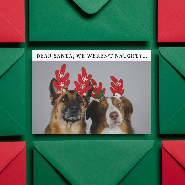 Cartes Pour Fêtes Annuelles Drôle animal personnalisé chien photo photo de Noë (Créateur téléchargé)