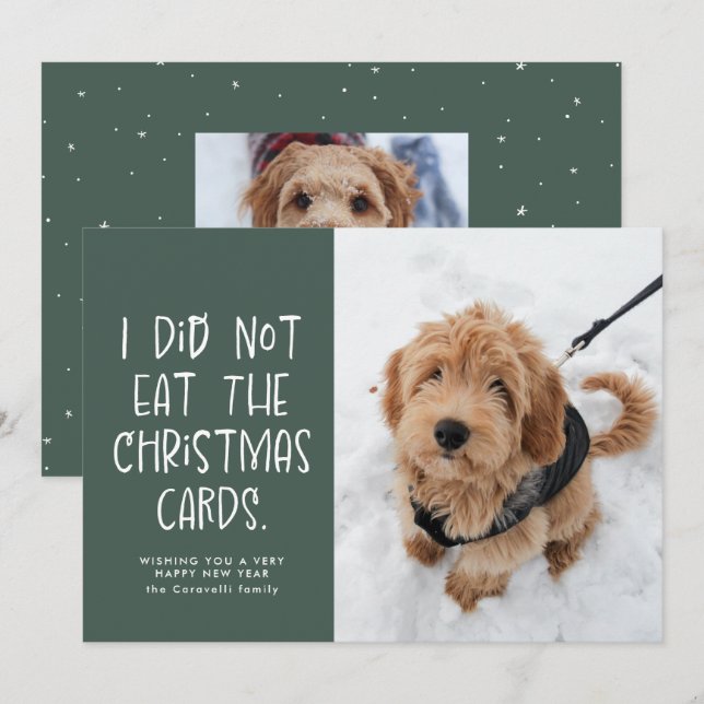 Cartes Pour Fêtes Annuelles Drôle animal vert photo Nouvel An (Devant / Derrière)