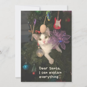 Cartes Pour Fêtes Annuelles Drôle Chat Père Noël Je Peux Expliquer Tout Noël