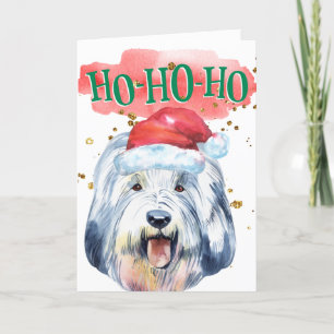 Cartes Pour Fêtes Annuelles Drôle chien anglais berchien Santa chapeau yappy h