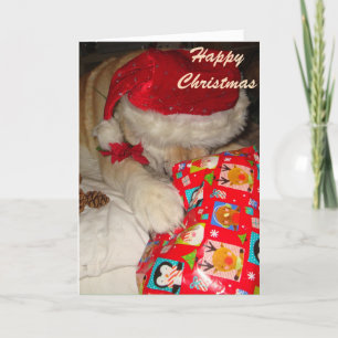 Cartes Pour Fêtes Annuelles drôle chien mignon endormi et habillé pour noël