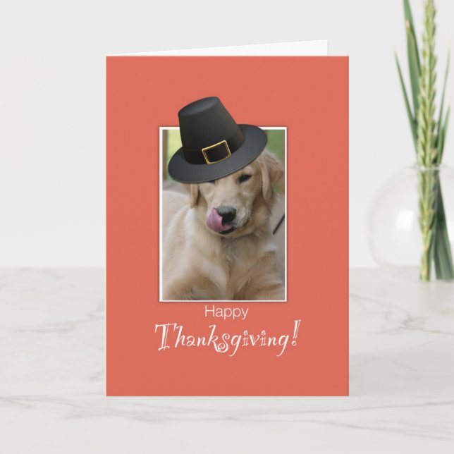 Cartes Pour Fêtes Annuelles Drôle Chien Thanksgiving, Humoriste Portant Pèleri (Devant)