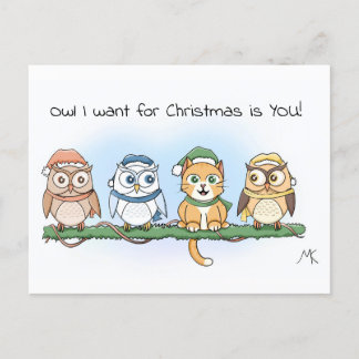 Cartes Pour Fêtes Annuelles Drôle Chouette de dessin Je veux Noël