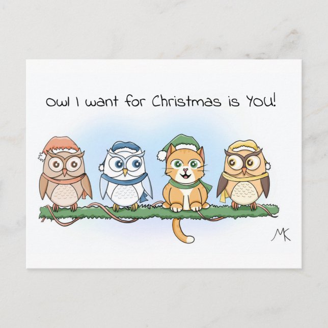 Cartes Pour Fêtes Annuelles Drôle Chouette de dessin Je veux Noël (Devant)