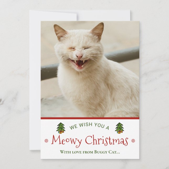 Cartes Pour Fêtes Annuelles Drôle de Cat Meowy Photo de Noël (Devant)
