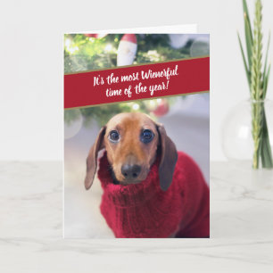 Cartes Pour Fêtes Annuelles Drôle de dachshund la période la plus saucissonne