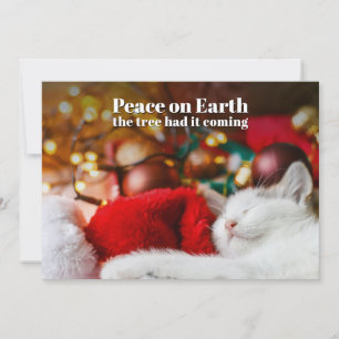 Cartes Pour Fêtes Annuelles Drôle de Noël Chat Endormi Paix sur Terre 