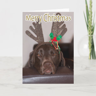 Cartes Pour Fêtes Annuelles Drôle Labrador Parties scintillant Antlers Texte p