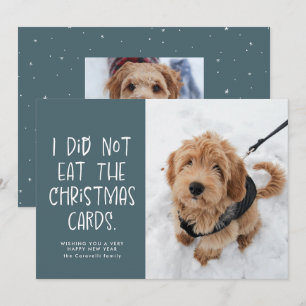 Cartes Pour Fêtes Annuelles Drôle mignon animal bleu clair photo Nouvel An