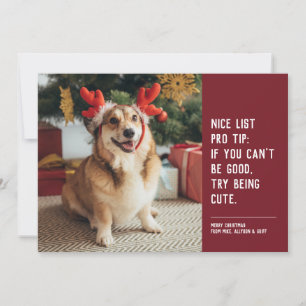 Cartes Pour Fêtes Annuelles Drôle mignon photo rouge Noël