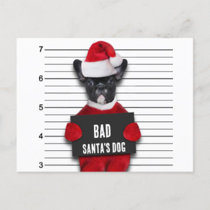 Cartes Pour Fêtes Annuelles Drôle Mugshot de Noël Mauvais Chien Père Noël