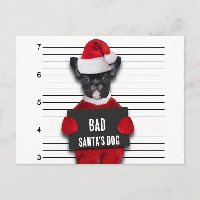 Cartes Pour Fêtes Annuelles Drôle Mugshot de Noël Mauvais Chien Père Noël (Devant)