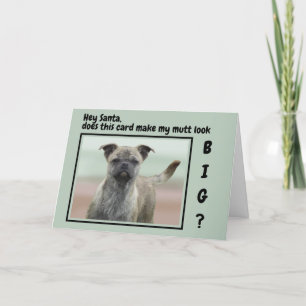 Cartes Pour Fêtes Annuelles Drôle Mutt Mixte de race Chien photo Noël