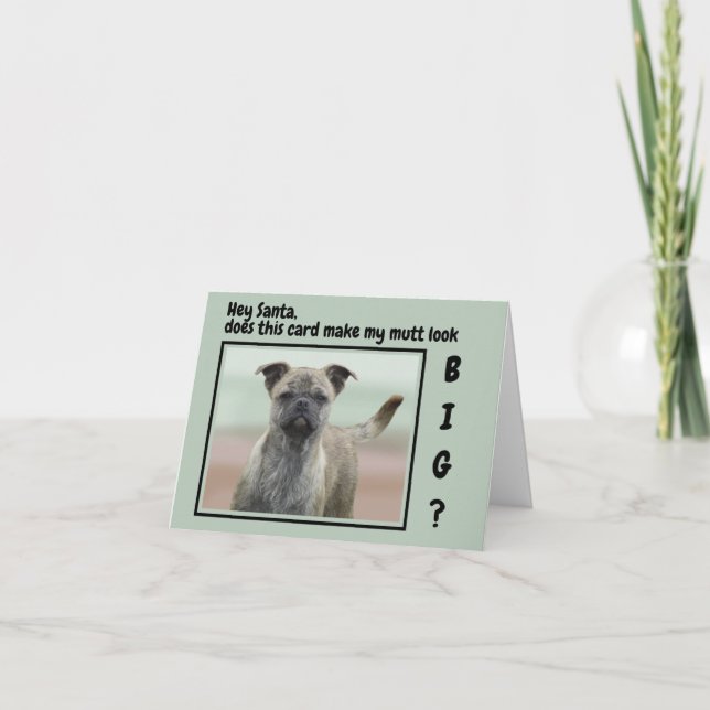 Cartes Pour Fêtes Annuelles Drôle Mutt Mixte de race Chien photo Noël (Devant)