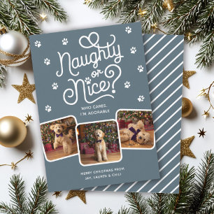Cartes Pour Fêtes Annuelles Drôle ou Gentil Mignon Animal Chien Chat 3 Photo