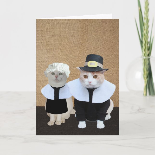 Cartes Pour Fêtes Annuelles Drôle Pèlerin Chats Thanksgiving Card (Devant)