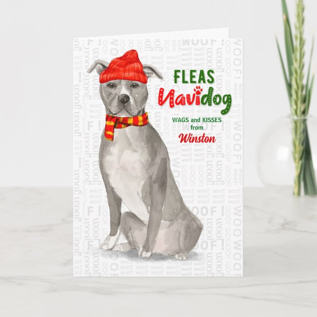 Cartes Pour Fêtes Annuelles Du Dog Grey American Staffordshire Pitbull (Devant)
