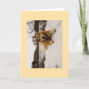 Cartes Pour Fêtes Annuelles Ducati le chien des merveilles