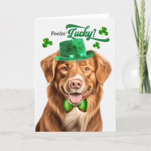 Cartes Pour Fêtes Annuelles Duck Toller Dog Feelin' Lucky St Patrick's Day