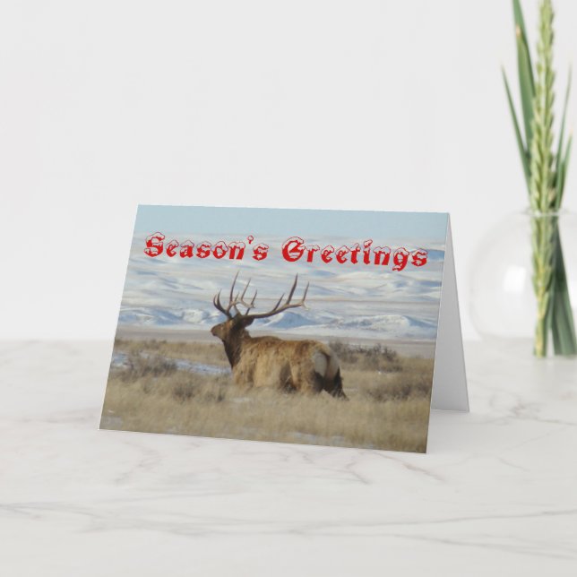 Cartes Pour Fêtes Annuelles E22 Bull Elk et Snowy Hills (Devant)