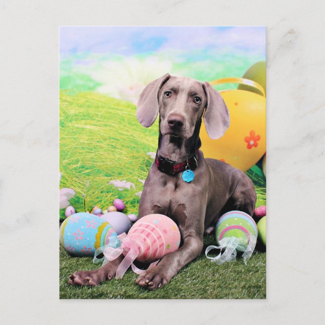 Cartes Pour Fêtes Annuelles Easter (Devant)