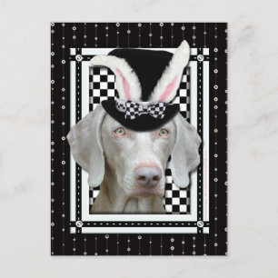 Cartes Pour Fêtes Annuelles Easter
