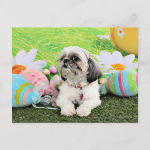Cartes Pour Fêtes Annuelles Easter