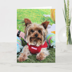 Cartes Pour Fêtes Annuelles Easter