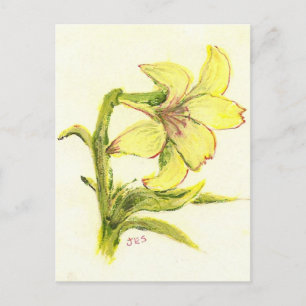 Cartes Pour Fêtes Annuelles Easter Lilly par maman