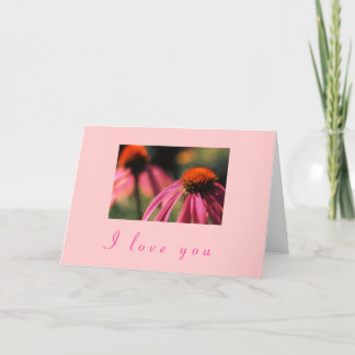 Cartes Pour Fêtes Annuelles "Echinacea I Love You"