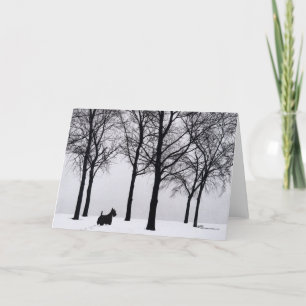 Cartes Pour Fêtes Annuelles Ecosse dans Snowy Woods
