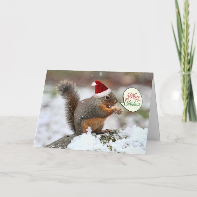 Cartes Pour Fêtes Annuelles Écureuil à Noël de neige (Devant)