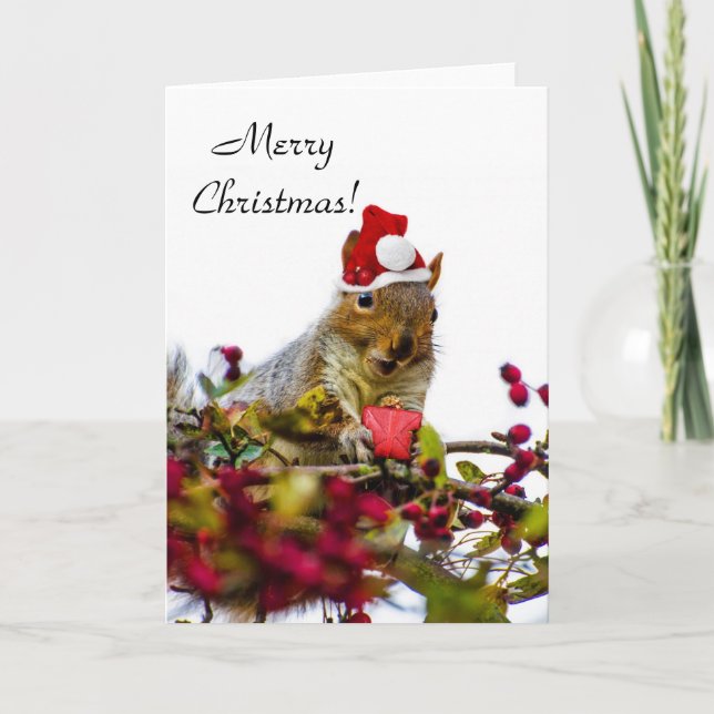 Cartes Pour Fêtes Annuelles Écureuil de Noël (Devant)