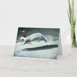 Cartes Pour Fêtes Annuelles Écureuil de Noël