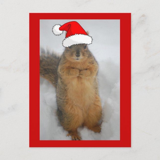 Cartes Pour Fêtes Annuelles Écureuil de Noël (Devant)