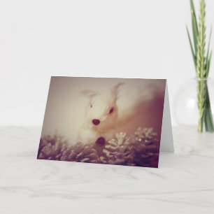 Cartes Pour Fêtes Annuelles Écureuil de Noël blanc