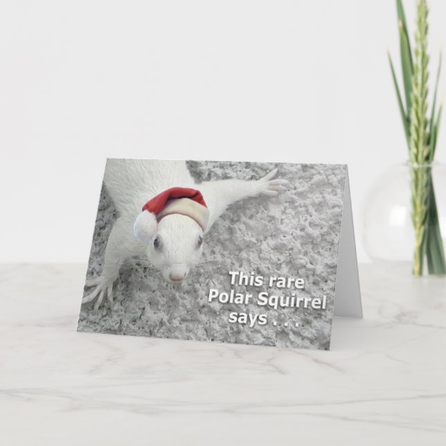 Cartes Pour Fêtes Annuelles Écureuil de Noël rare (Devant)