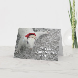 Cartes Pour Fêtes Annuelles Écureuil de Noël rare