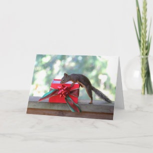 Cartes Pour Fêtes Annuelles Écureuil d'ouverture Noël présent