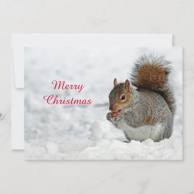Cartes Pour Fêtes Annuelles Écureuil rouge Berry neige photo Appartement de No (Devant)