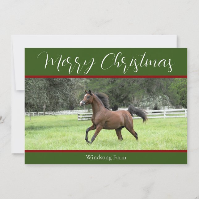 Cartes Pour Fêtes Annuelles Élégant Cheval Rouge Arabe Vert 1 Photo Noël (Devant)
