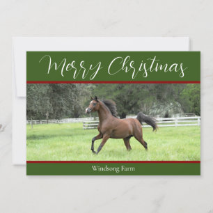 Cartes Pour Fêtes Annuelles Élégant Cheval Rouge Arabe Vert 1 Photo Noël