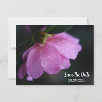 Cartes Pour Fêtes Annuelles Élégant Rose Rose gros plan avec Dew Enregistrer l
